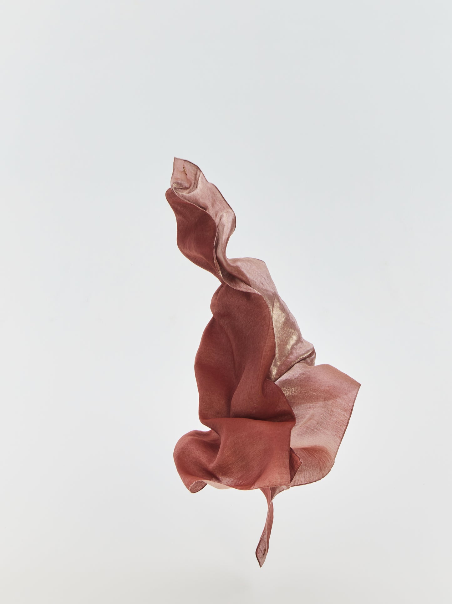 TT FOULARD